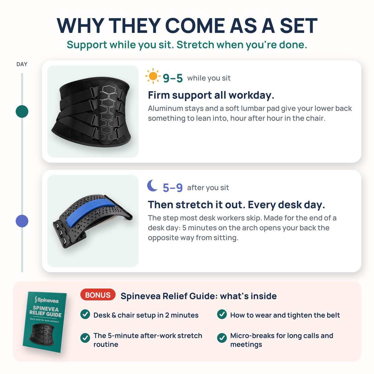 Spinevea Core Belt