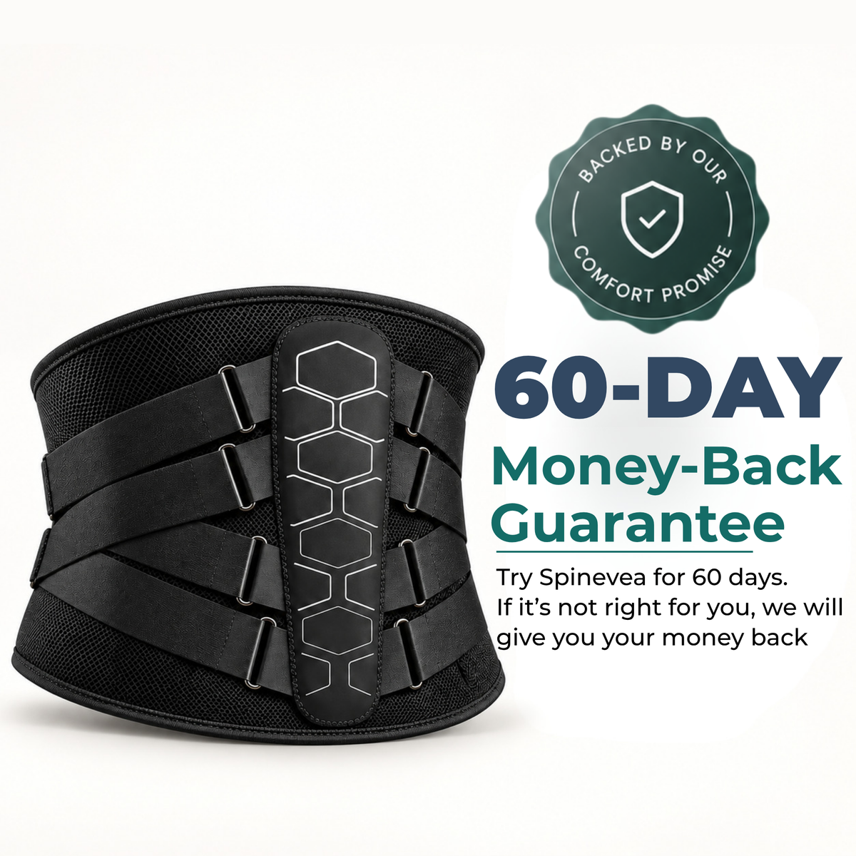 Spinevea Core Belt