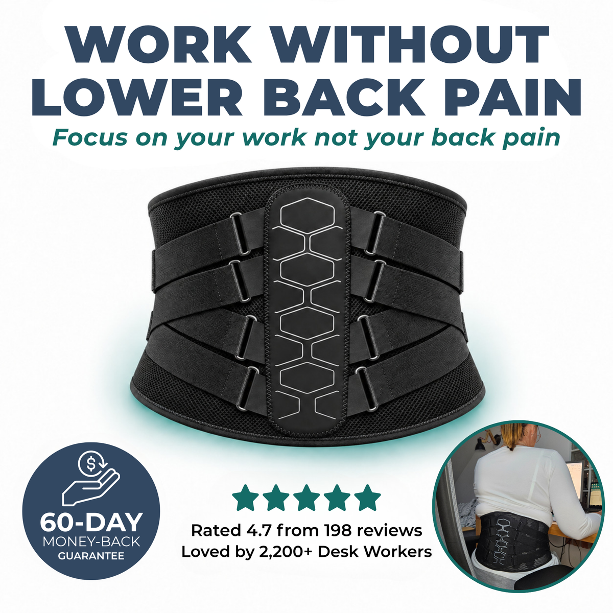 Spinevea Core Belt